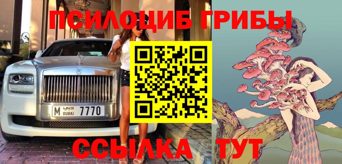 Псилоцибиновые грибы мицелий  Псилоцибиновые грибы Magic Shrooms  Михайловск  Вход с VPN 